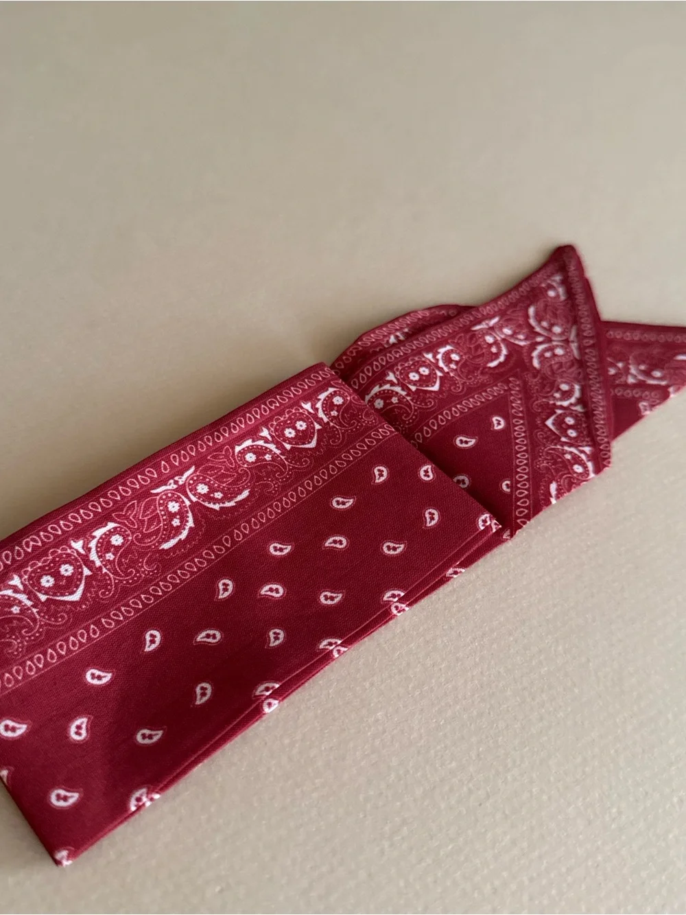 Red Paisley Scarf M1595